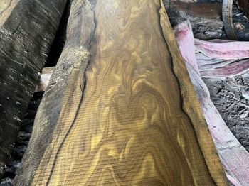 cong-trinh-pmp-04.jpg cong-trinh-pmp-04.jpg