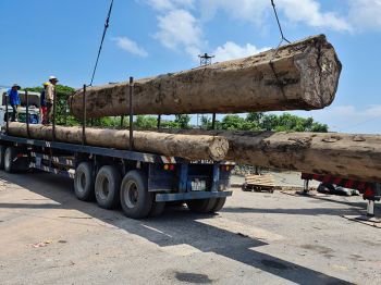 cong-trinh-pmp-16.jpg cong-trinh-pmp-16.jpg