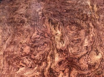 cong-trinh-pmp-27.jpg cong-trinh-pmp-27.jpg