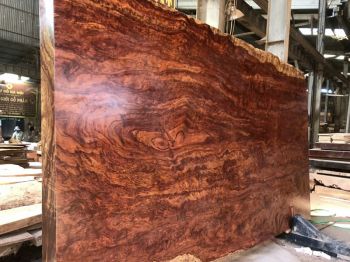 cong-trinh-pmp-02.jpg cong-trinh-pmp-02.jpg