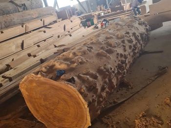 cong-trinh-pmp-25.jpg cong-trinh-pmp-25.jpg