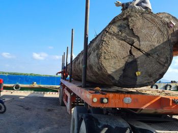 cong-trinh-pmp-34.jpg cong-trinh-pmp-34.jpg