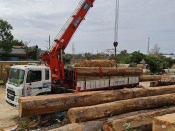 cong-trinh-pmp-31.jpg cong-trinh-pmp-31.jpg