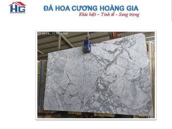 catalog-hg-10.jpg catalog-hg-10.jpg