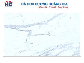 catalog-hg-17.jpg catalog-hg-17.jpg